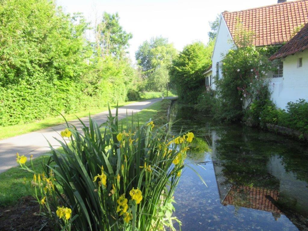 6 Grenouillere Leilighet La Madelaine-sous-Montreuil Eksteriør bilde